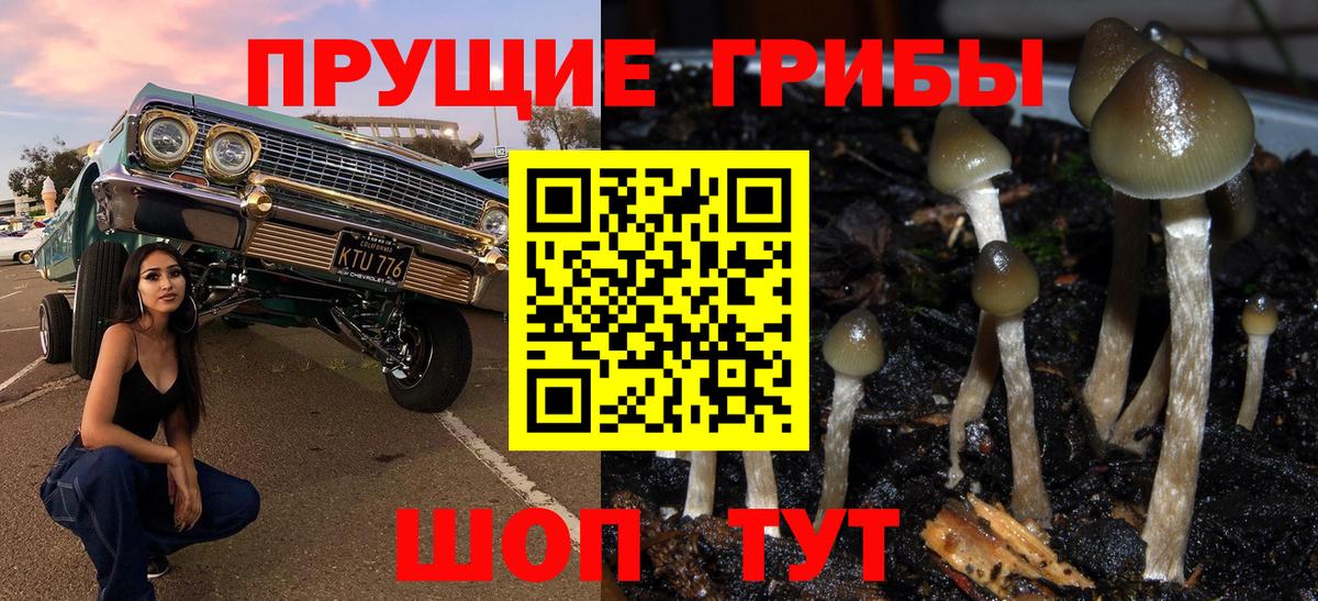 Галлюциногенные грибы прущие грибы  Вход с VPN  Сатка 